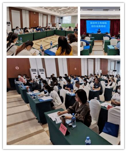 深化业务培训，筑牢依法行政根基，提升为民服务温度